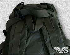 Parachute Backpack, Back