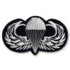 Airborne Wings Patch