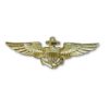 USN USMC Aviator Wings