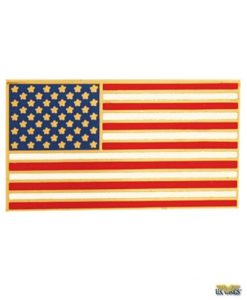 United States of America Flag Pin