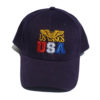 US Wings USA Logo Cap