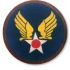 Hand Painted USAAF Leather Patch