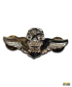 Master Navigator or Observer Wings