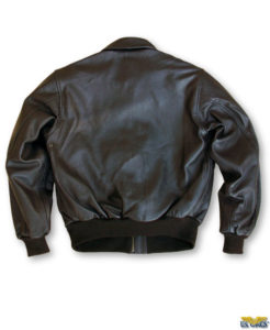 Cooper Original Leather Flight Jacket Modern A-2 Back