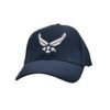Air Force Wings Logo Cap