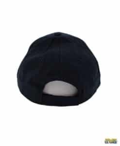 Air Force Wings Logo Cap