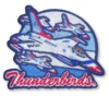 Thunderbirds Embroidered Patch